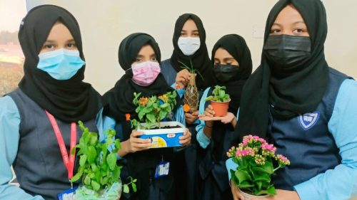 Mini-Garden-Activity-1